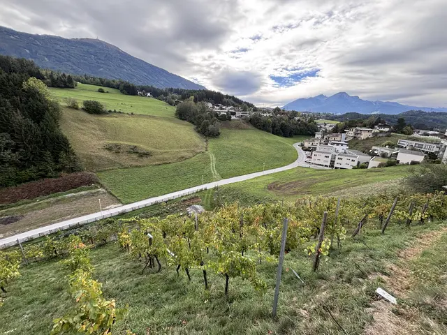 eit 2014 kümmert sich Andrä Steixner gemeinsam mit seiner Frau Hannelore um den Weingarten im Pfarrtal. 2019 kaufte das Ehepaar die rund 1.800 Quadratmeter große Rebfläche. | Foto: Steixner/Kendlbacher
