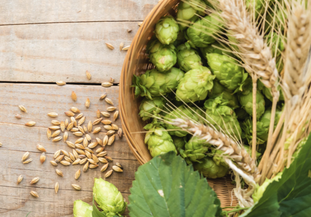 Der Hopfenherbst lädt zum Wochenmarkt.  | Foto: stock.adobe.com