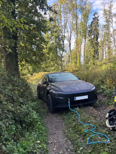 Der Tesla wurde aus seiner misslichen Lage befreit. | Foto: ff Freiling