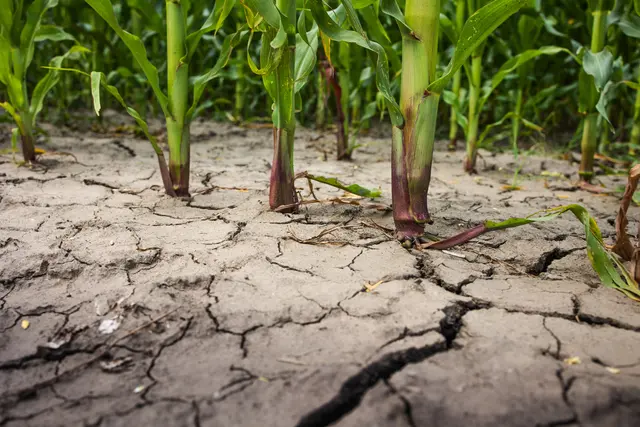 In der neuen Schadensdatenbank sollen Naturereignisse und ihre Folgen erfasst werden. (Symbolbild) | Foto: fotokostic/Smarterpix