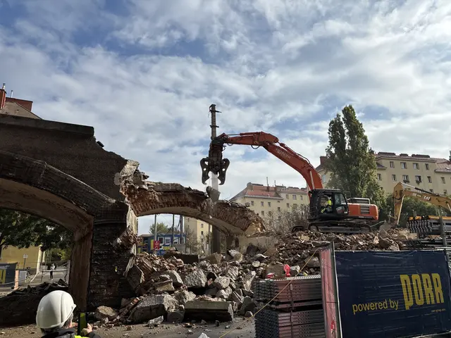 Rund zwei Tage dauert der Abriss eines einzelnen Viaduktbogen. Bis Ende Oktober sollen alle abgetragen sein.  | Foto: Luca Arztmann/MeinBezirk