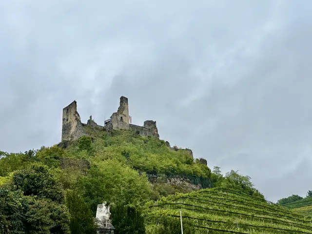 Die Ruine Senftenberg – das Wahrzeichen inmitten von Weinbergen