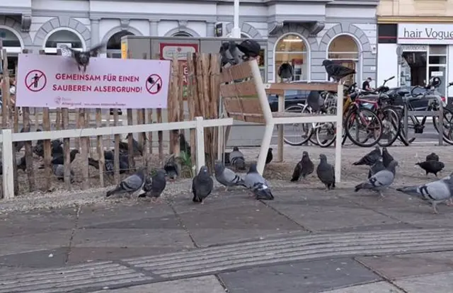Die Alsergrunder Freiheitlichen wollen das Taubenproblem am Julius-Tandler-Platz angehen.  | Foto: FPÖ