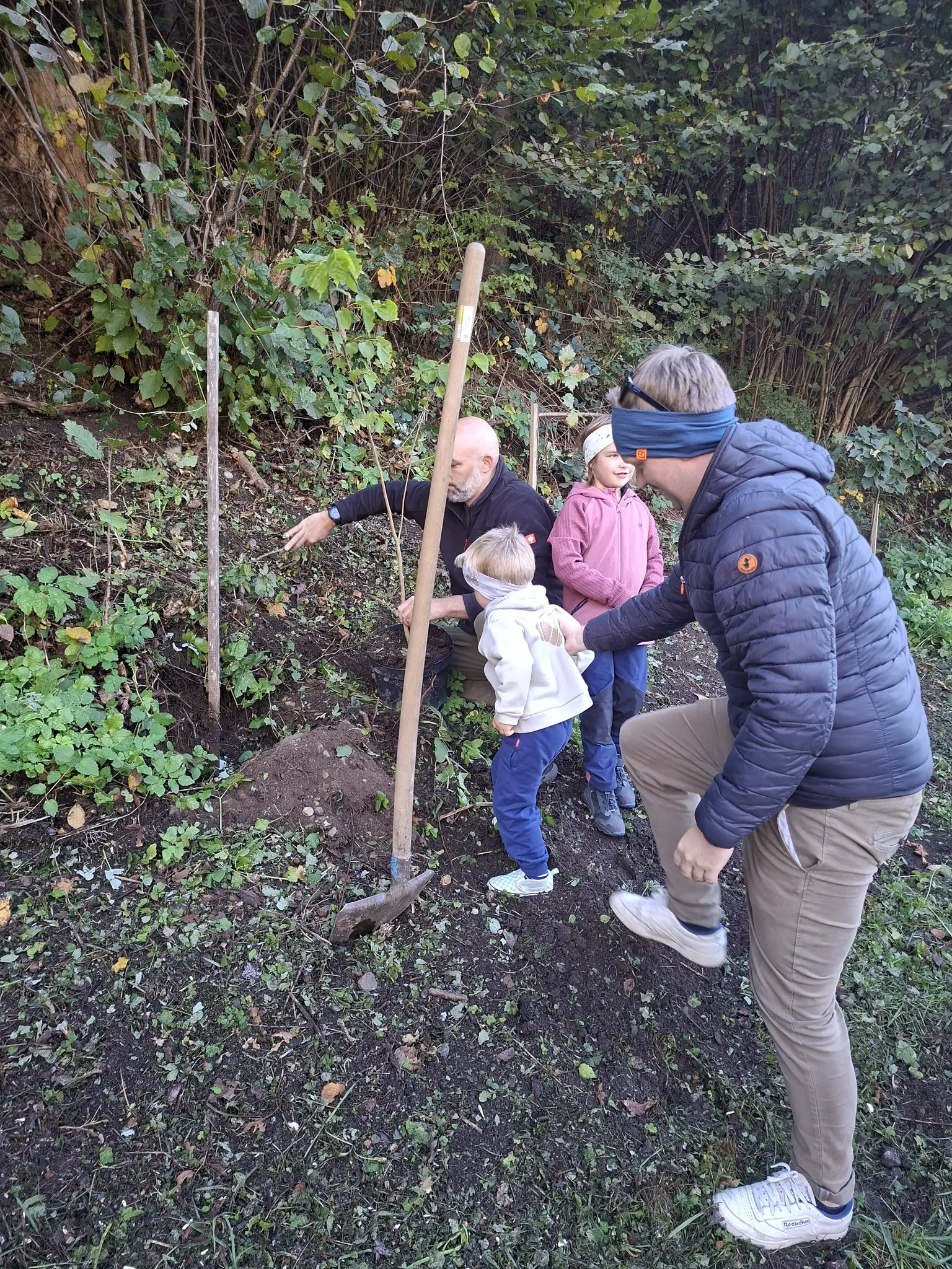 Community is growing: This is how Kematen is creating a special start for ...