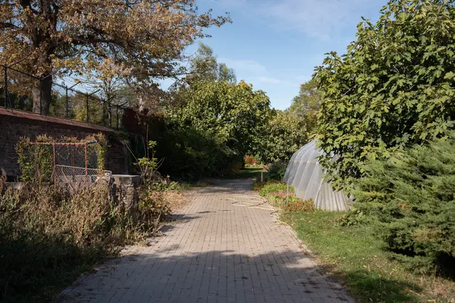 Foto: Sade Jerabek/MeinBezirk