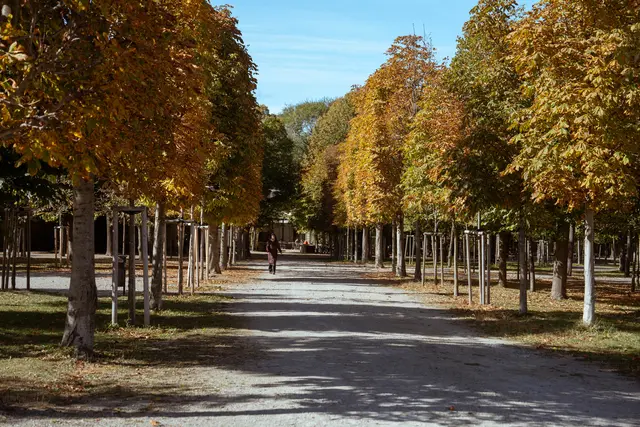 Foto: Sade Jerabek/MeinBezirk
