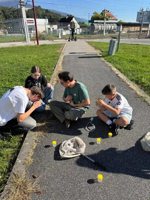 Kinder und Erwachsene konnten beim Entomologie-Workshop im JUZ Wolfsberg faszinierende Insekten und Spinnentiere aus nächster Nähe entdecken. | Foto: Privat/KK