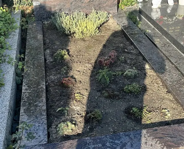 Von zahlreichen Grabstätten sollen Grabaccessoires aus Kupfer verschwunden sein. | Foto: z.V.g.