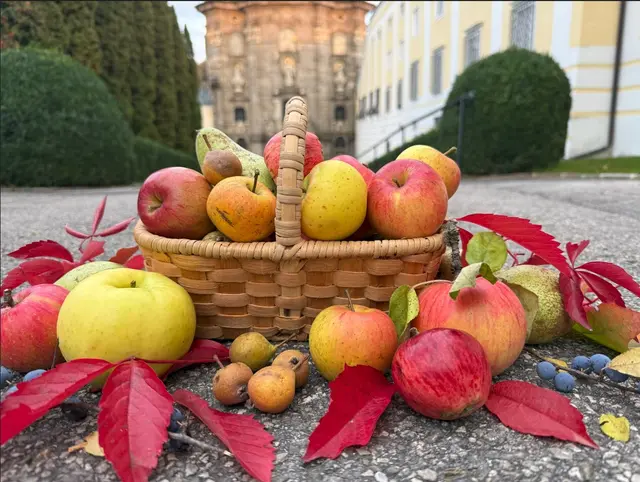 Die Obstgärten des Stiftes Zwettl bewahren einen ganz besonderen Schatz. Komm mit uns auf Entdeckungsreise! | Foto: Stadtarchiv Zwettl