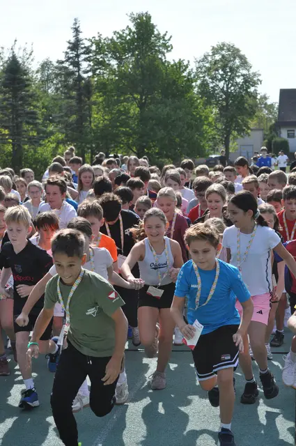 Die Schülerinnen und Schüler des Vöslauer Gymnasiums und des ausgelagerten Badener Standorts „AHS Campus Baden“ gingen gemeinsam an den Start, | Foto: BRG Bad Vöslau-Gainfarn
