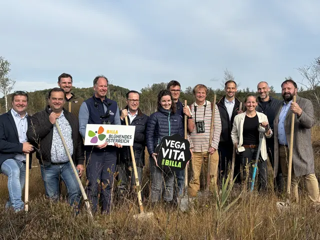 Spatenstich für die Rettungsinsel Ibmer Moor: Vertreter von Birdlife Austria, Leader Oberinnviertel Mattigtal, Blühendes Österreich, der Billamarke Vegavita sowie die Bürgermeister der Gemeinden Moosdorf und Eggelsberg setzen gemeinsam ein Zeichen für den Schutz bedrohter Wiesenvögel. | Foto: Meinbezirk/Anja Kern