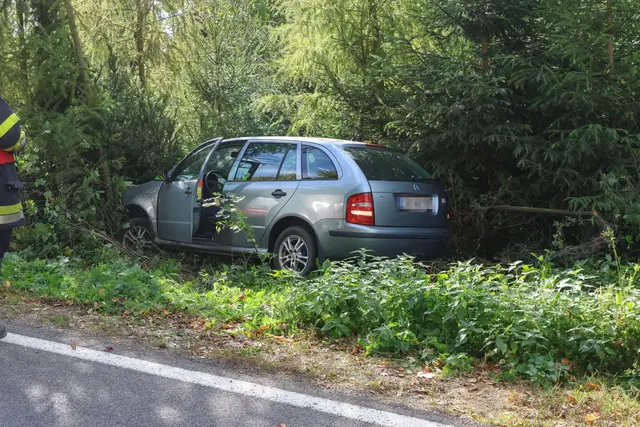 Das Unfallauto kam in einem Jungwald zum Stillstand. | Foto: laumat/Matthias Lauber