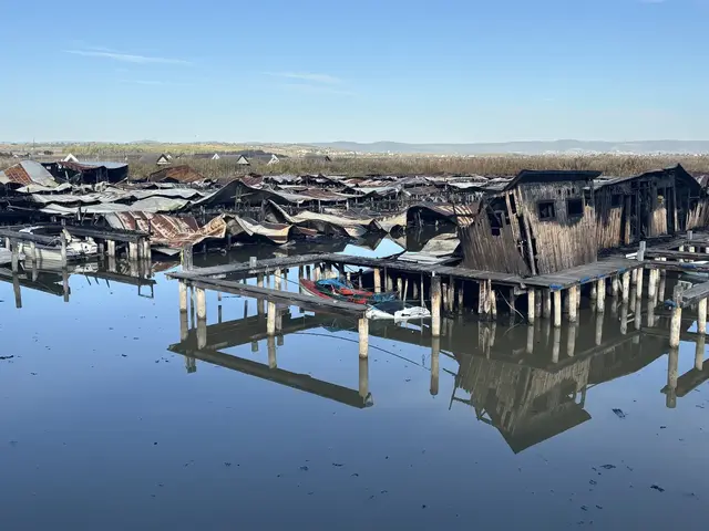 Das Ausmaß des Großbrandes in Rust ist verheerend.  | Foto: Stefan Schneider/MeinBezirk