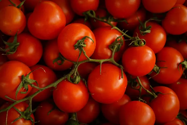 Rot, rund, klein und fruchtig. So präsentieren sich die sonnengereiften Cocktailtomaten aus Sizilien. Doch leider kommt es mittlerweile jährlich zu einem Salmonellenausbruch rund um das Gemüse. (Symbolfoto) | Foto: Tom Hermans/Unsplash