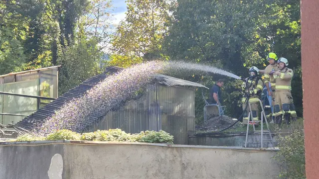 Im Einsatz standen die Freiwilligen Feuerwehren Vomperbach und Terfens, die Rettung sowie die Polizei.