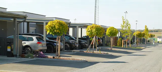 13 Bungalows errichtete die OSG in Markt Neuhodis - die Nachfrage ist groß und deshalb entstehen im 4. Bauabschnitt weitere Bungalows. | Foto: Peter Seper