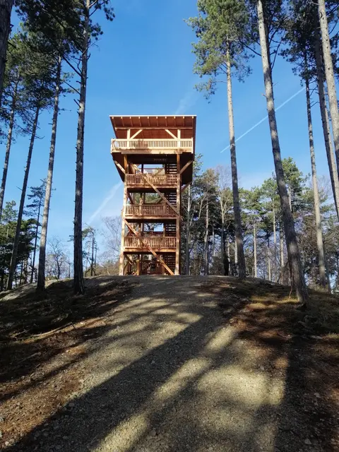 In Wiesen wird gemeinsam zum Aussichtsturm Wiesen/Lanzenkirchen gewandert. | Foto: Roswitha Lechner 