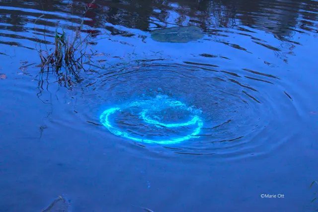 WATER &amp; LIGHT FEATIVAL, BAD RADKERSBURG