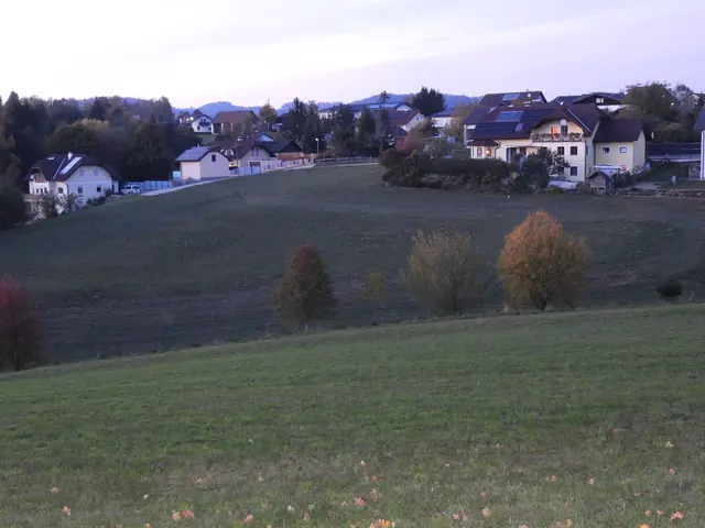 Baugrund Sonnenhang in Münzbach. Vier dreistöckige Wohnblöcke mit bis zu 60 Wohnungen werden geplant.  | Foto: Zinterhof