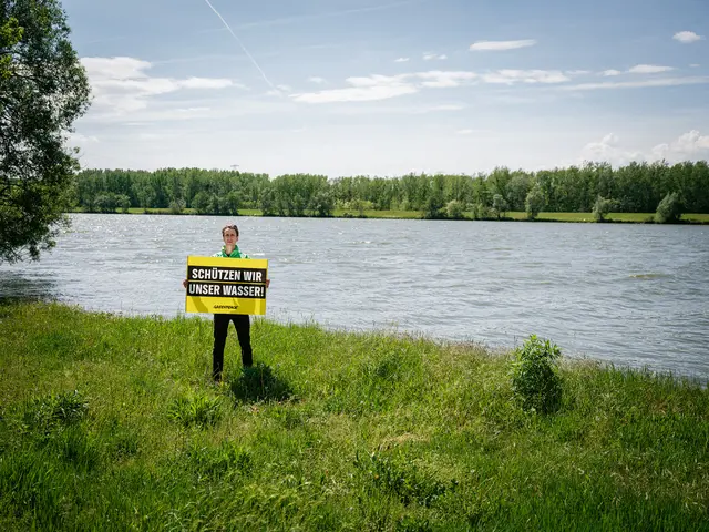 Foto: Greenpeace/Mitja Kobal
