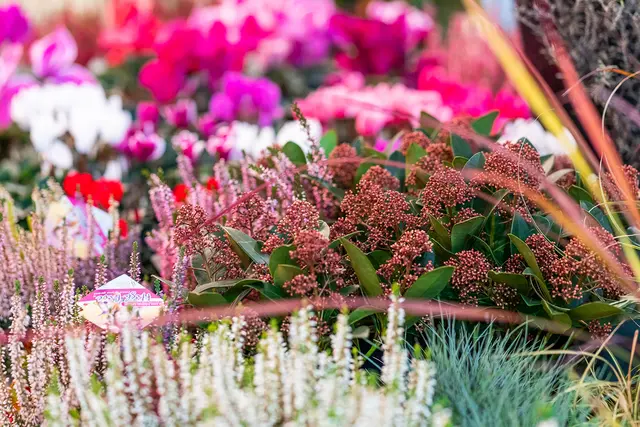 Die Gräber werden zu Allerheiligen mit Kerzen, Blumen und Gestecken in Erinnerung an die Verstorbenen besonders schön geschmückt. | Foto: Birlmair