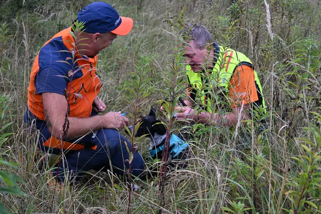 25 Suchhundeteams nutzten am 17. Oktober das weitläufige Gelände der Schwarzenberg-Kaserne, um ihre Spürnasen zu trainieren. | Foto: Bergrettungshunde/Riedler