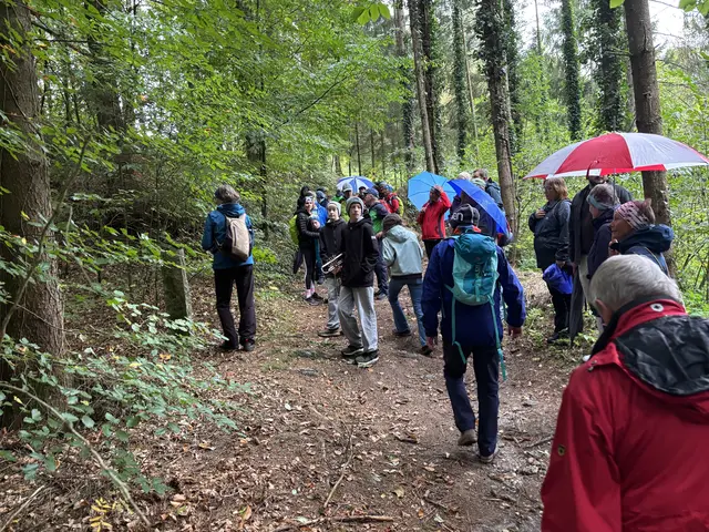 Etwa 100 Interessierte waren bei der Eröffnung dabei. | Foto: Gemeinde Kleinzell
