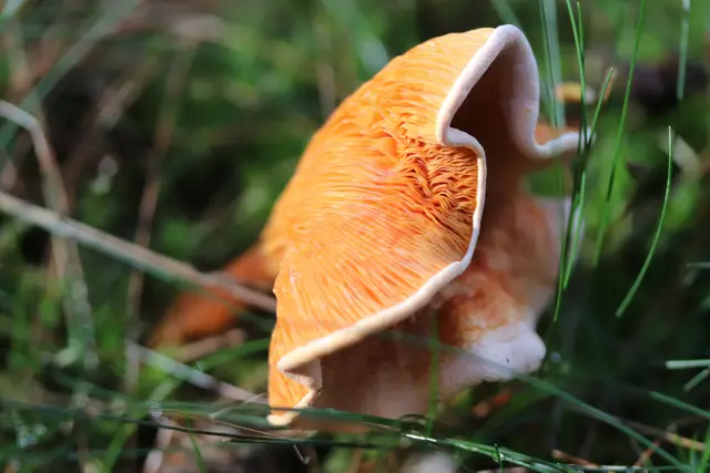 ...diese Farbe find ich einfach schön.