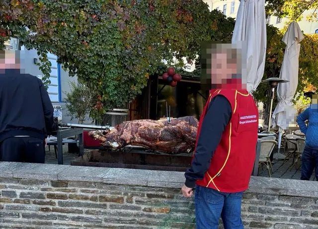Da staunten die Beamten der städtischen Behörden nicht schlecht: In Einem öffentlich zugänglichen Gastgarten wurde ohne Bewilligung ein ganzes Kalb gegrillt. | Foto: Gruppe für Sofortmaßnahmen