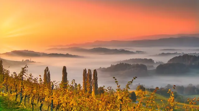 Die Wetterprognose verspricht einen milden Herbst für die Steirerinnen und Steirer. Zur Wochenmitte kündigen sich jedoch Regenschauer an. | Foto: Franz Harb 