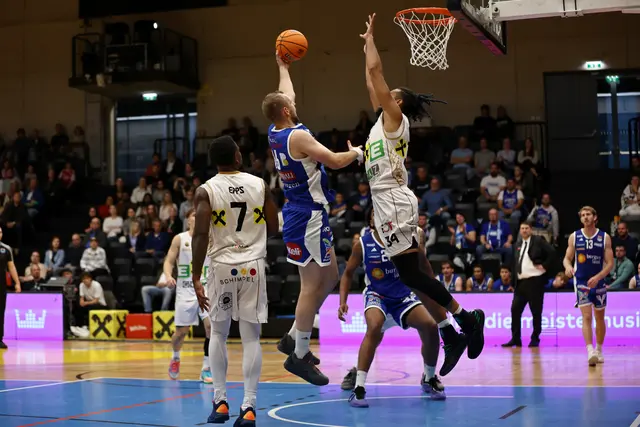 Foto: Basketball Austria / B.Kohlmaier
