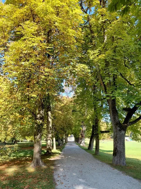 Foto: H.Bachinger