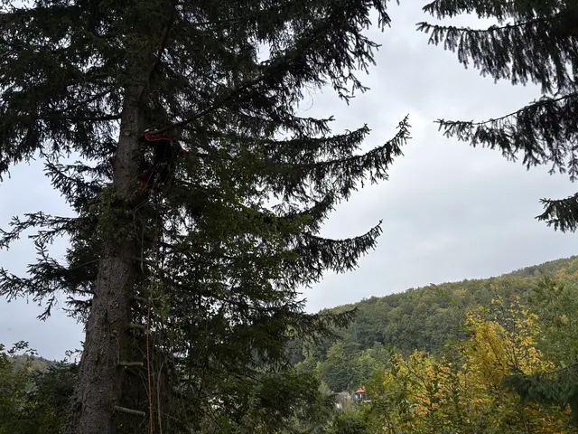 Foto: Lina Chalusch