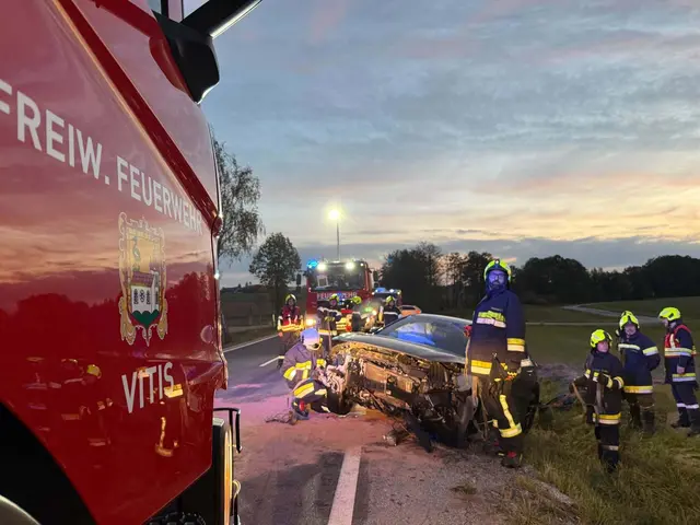 Bergung durch die Feuerwehr | Foto: FF Vitis