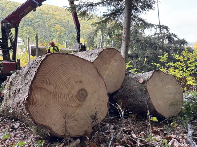Foto: Lina Chalusch