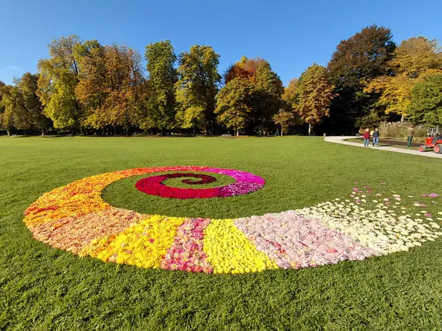 Spirale aus Dahlien Blüten  | Foto: H.Bachinger