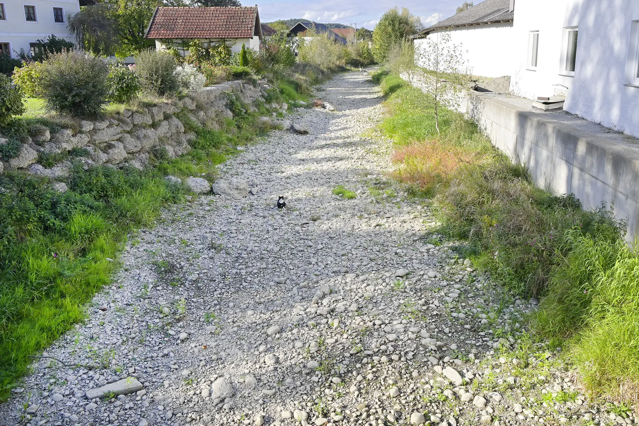 Environmental crisis: Mattig remains dry - | Riverbed without water for ...