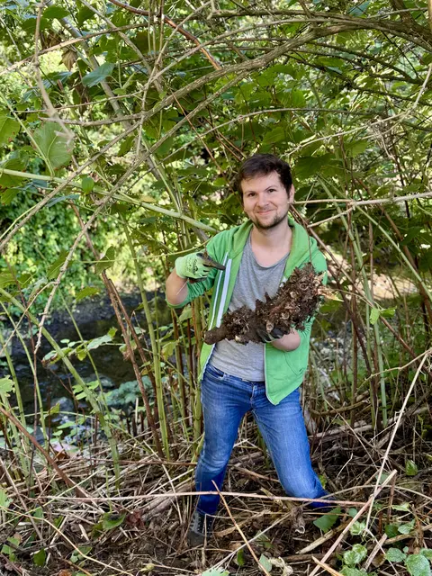 Florian Ladenstein engagiert sich für den Erhalt heimischer Pflanzenarten in Gablitz. | Foto: Florian Ladenstein