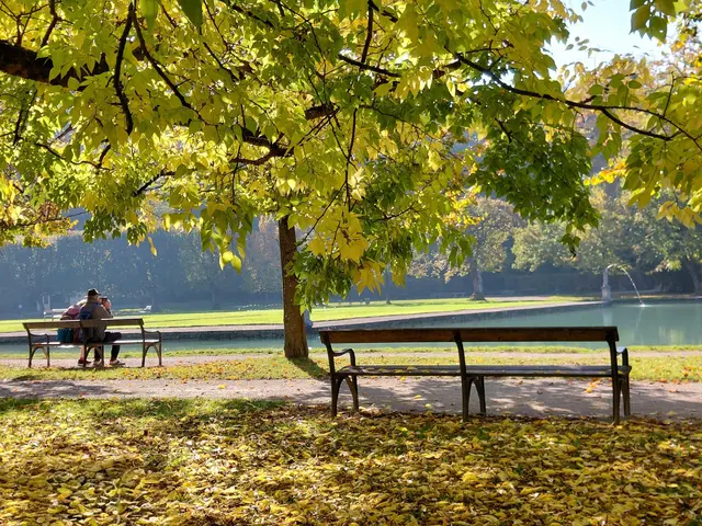Herbstsonne genießen  | Foto: H.Bachinger