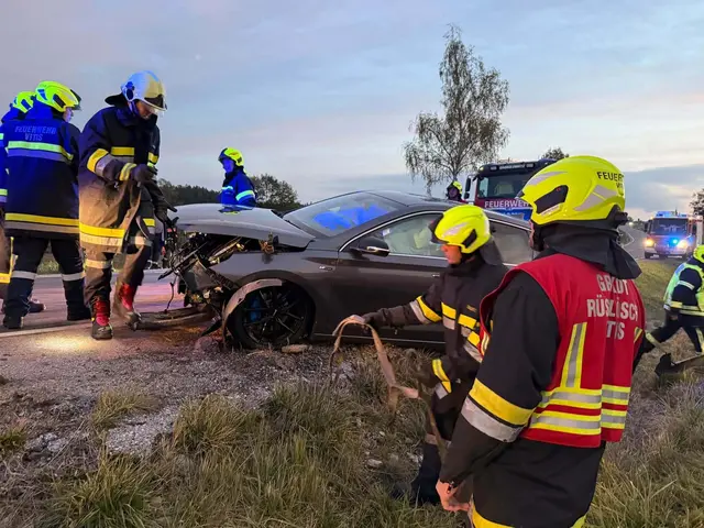 Bergung durch die Feuerwehr | Foto: FF Vitis