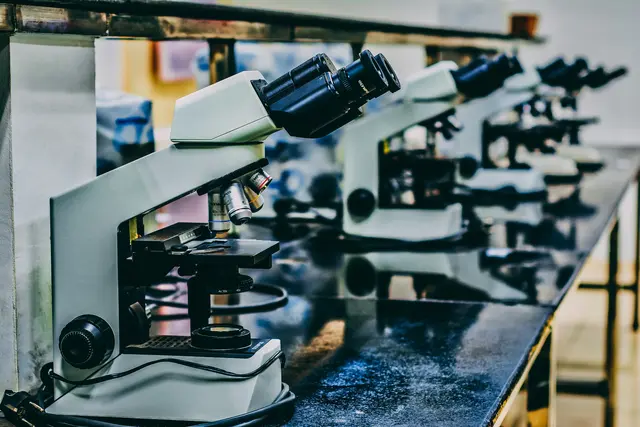 In Tirol sichert die Life-Sciences-Branche mehr als 11.000 Arbeitsplätze. | Foto: unsplash