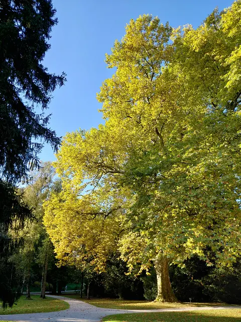 Foto: H.Bachinger