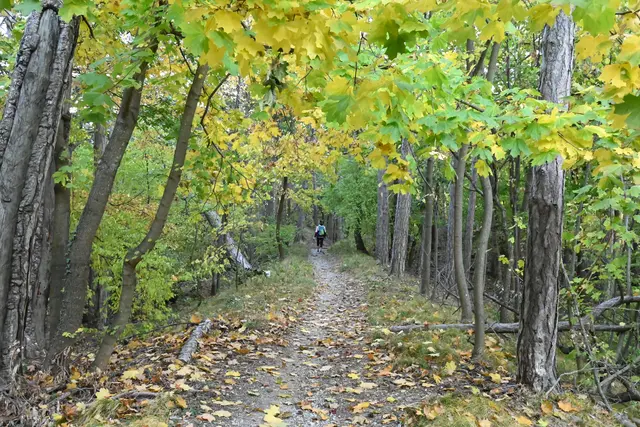 Der Herbst zeigt sich nun von seiner schönsten Seite.