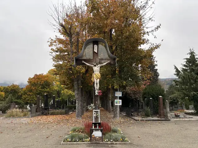 Rund um Allerheiligen gelten am Zentralfriedhof erweiterte Öffnungszeiten und ein Tag der offenen Tür bei der Bestattung Leoben. | Foto: MeinBezirk/Astrid Moder