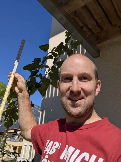 Ob Klemens Böck vom Obst- und Gartenbauverein Schwaz nächstes Jahr mit einer Gurke wieder unter den Landessiegern ist? Dieses Jahr errichte seine Bohne 71,5 Zentimeter. | Foto: Grünes Tirol