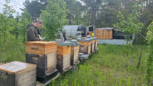 Die laufende Betreuung der Bienen erfolgt durch den Imker Gerald Kreppenhofer. | Foto: Gemeinde Felixdorf