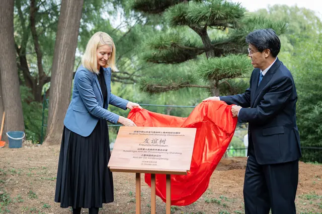 Christine Haberlander und ihr Pendant Sun Ximin pflanzten im botanischen Garten von Jinan einen Freundschaftsbaum.  | Foto: Land OÖ/Antonio Beyer