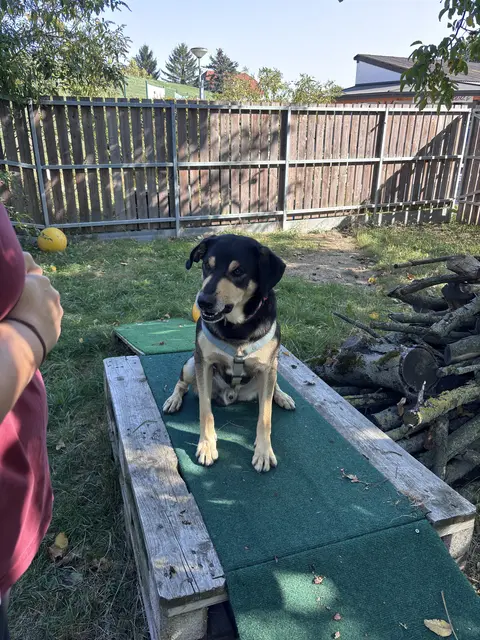 Lerne Nils jetzt kenenn! | Foto: Tanja Handlfinger