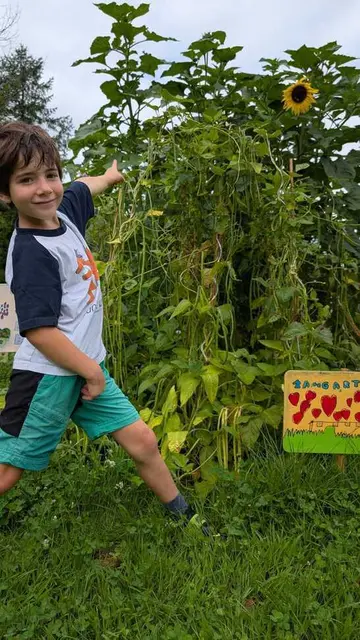 Mehr als 160 Meter Bohne wurden beim Bewerb eingereicht: 80 Zentimeter davon stammen von der Klasse 2a der Praxisvolksschule der PH Tirol in Innsbruck. Sie erreicht damit den Landessieg in der Gruppenwertung Kinder. | Foto: Grünes Tirol