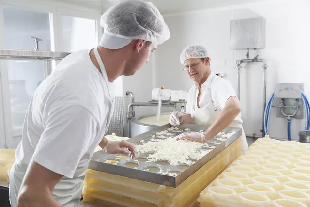SPAR-Kund:innen finden Milchprodukte der SalzburgMilch sowie Mattigtaler Höfkäserei. | Foto: Mattigtaler